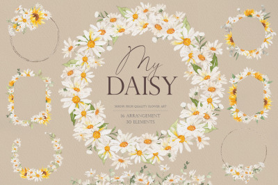 My Daisy Floral