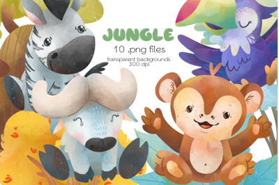 Jungle Animals Clipart - PNG Files