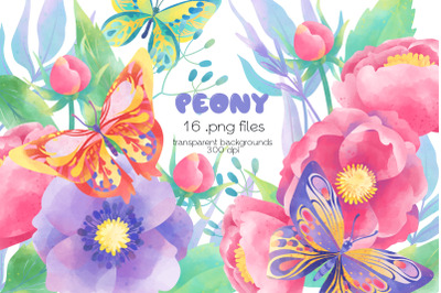 Peony Clipart - PNG Files