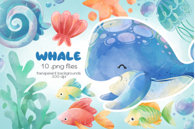 Whale Clipart - PNG Files
