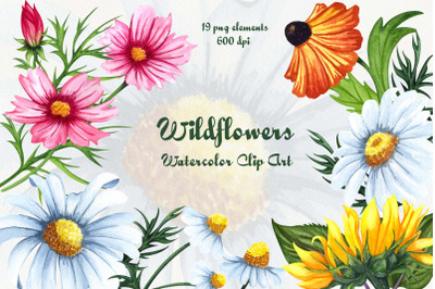 Wildflowers Watercolor Clipart