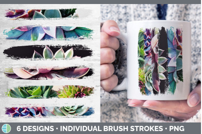 Succulents Brush Strokes PNG | Sublimation Designs