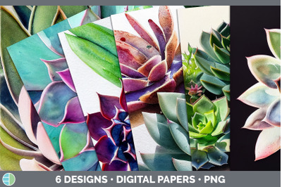 Succulents Backgrounds | Digital Scrapbook Papers
