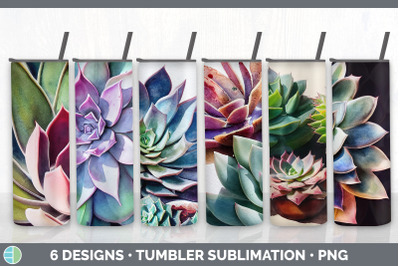 Succulents Tumbler Sublimation Bundle