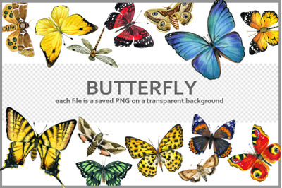 Butterfly Watercolor Guide PNG