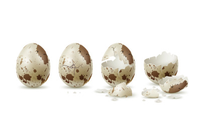 Realistic cracked quail egg. Whole and broken variegated shell, textur