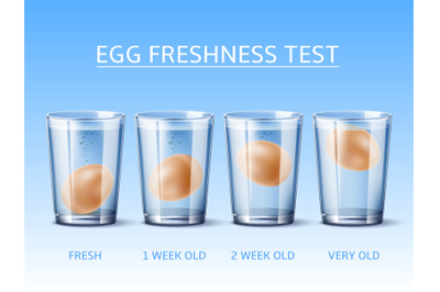 Realistic egg freshness test. Hen egg floating in glass with water, ph