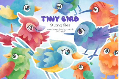 Birds clipart - PNG Files