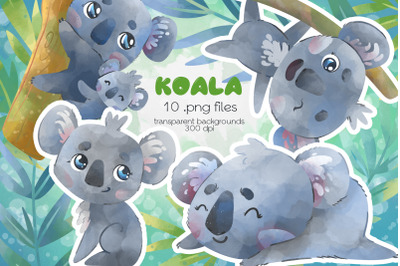 Koala Clipart - PNG Files