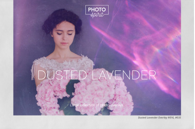 Dusted Lavender Overlays