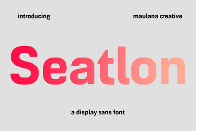 Seatlon Sans Display Font