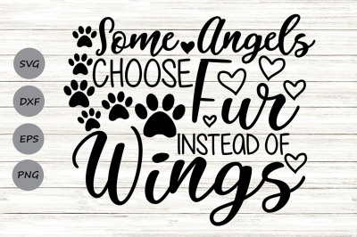 Some Angels Choose Fur Instead Of Wings Svg, Pet Memorial Svg.