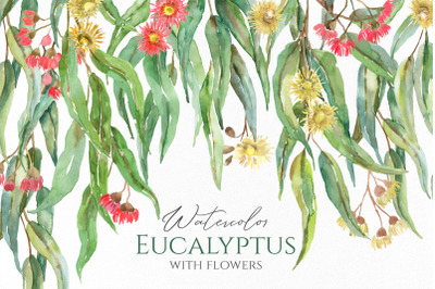 Watercolor Eucalyptus Leaves &amp; Flowers