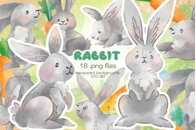 Rabbit Clipart - PNG Files