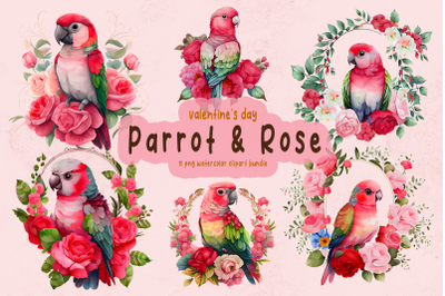 Valentine Parrot &amp; Rose watercolor clipart Bundle