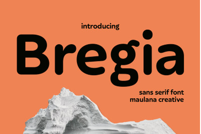 Bregia Soft Sans Display Font