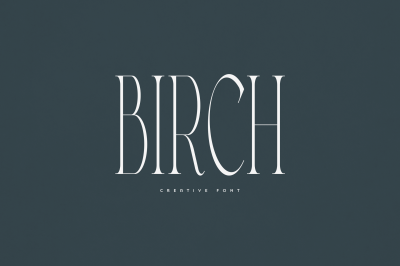 Birch creative font