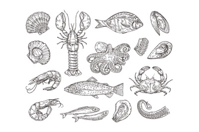 Hand drawn seafood. Hand drawn crab, shrimp and octopus. Sea scallops,