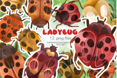 Ladybug Clipart - PNG Files