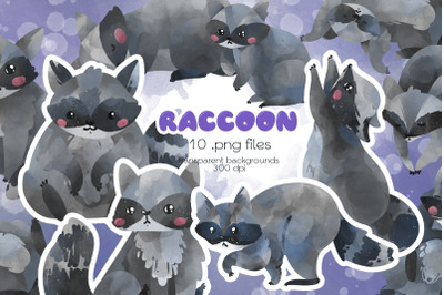 Raccoon Clipart - PNG Files