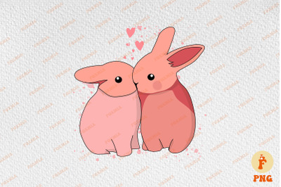 Cute Couple Rabbit Kissing Valentine
