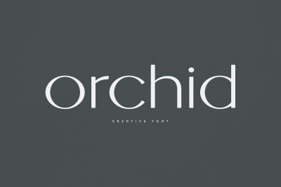 Orchid creative font
