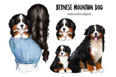 Bernese Mountain Dog clipart. Watercolor Dog Clipart, Puppy Portrait,