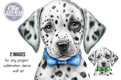 Cute Watercolor Dalmatian Puppy Clip Art Digital PNG Images