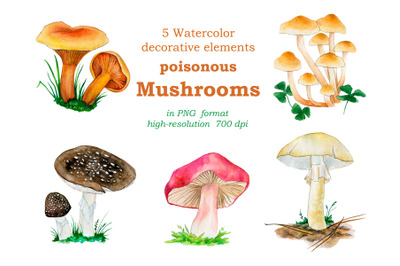 Watercolor illustrations of inedible mushrooms