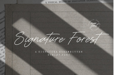 Signature Forest Signature Handwritten Script Font