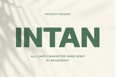 Intan // Modern Sans Serif