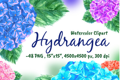 Hydrangea Watercolor Flowers Clipart Png Floral