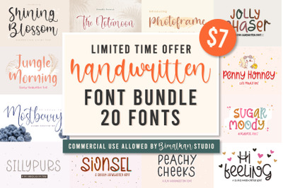 20 Handwritten Font Bundle