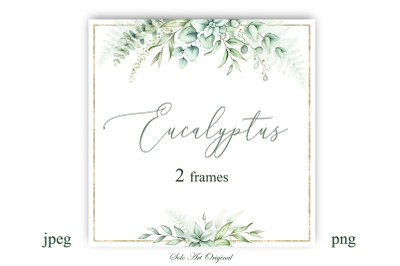 Eucalyptus Greenery frame border Floral background leafy