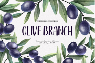 Olive branches. Watercolor clipart &amp; frames