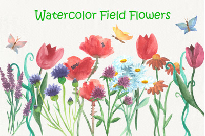Watercolor Field Flowers
