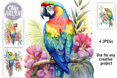 Tropical Parrot WatercoloI Images 4 JPEG Wall Art Bundle