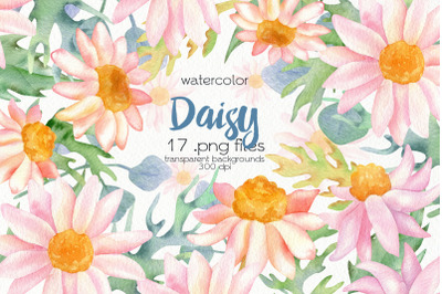 Watercolor Daisy Flower Clipart - PNG Files
