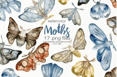 Watercolor Moth Clipart - PNG Files