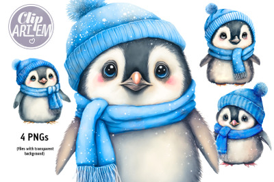 Boy Penguin Blue Winter Hat Watercolor PNG Clip Art  Bundle