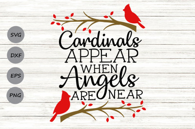 Cardinals Appear When Angels Are Near Svg, Memorial Svg, Cardinal svg.