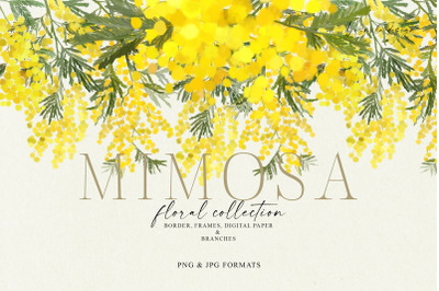 Mimosa flower collection