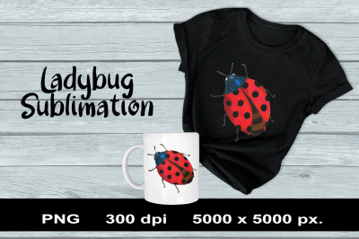 Lady Bug Sublimation PNG Design