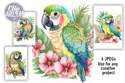 Baby Macaws Parrots Tropical Flowers 4 JPEG Watercolor Wall Art Bundle