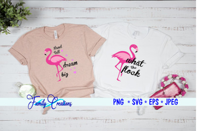 Flamingo Sayings v8