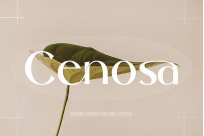 Cenosa Modern Sans Serif Typeface