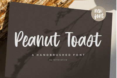 Peanut Toast Handbrushed Font