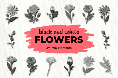 Flower Clipart Black and White Illustrations PNG