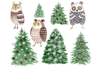 Christmas trees and Owls. Watercolor hand drawn art.