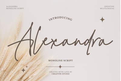 Alexandra Monoline Script